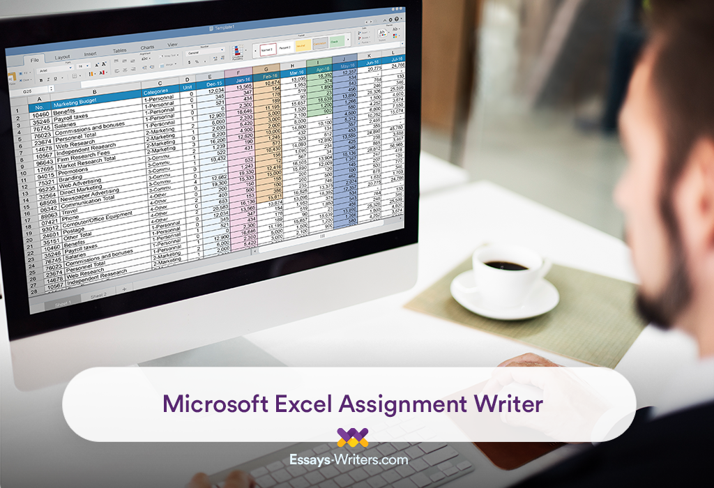 MS Excel Assignment Writing Service